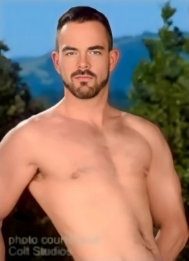 Dolan Wolf
